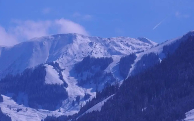 Apartment in Saalfelden Near Ski Slopes