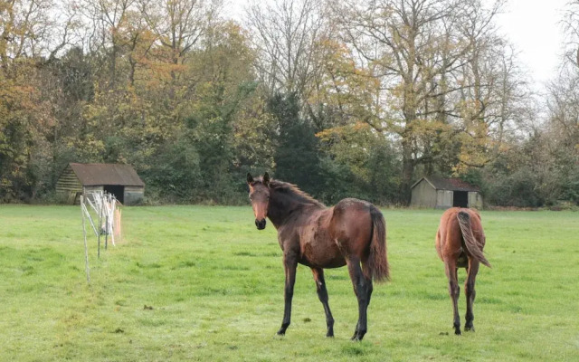 Palmers Green Cottage