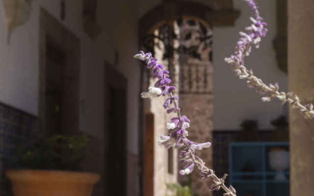 NaNa Vida Hotel Morelia