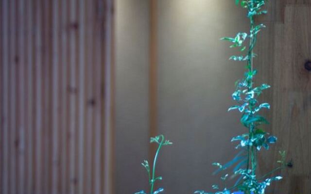 Liping Dong Art Theme Hotel