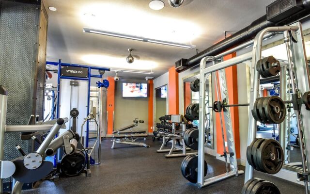 Plano Executive 1BD 1BA Apartment