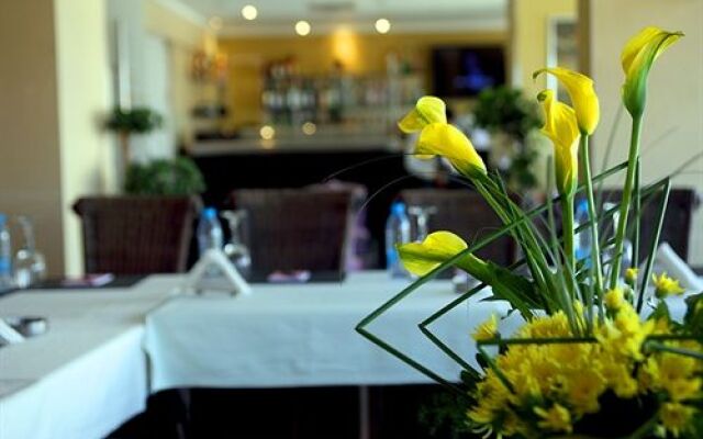 Oaks Beirut
