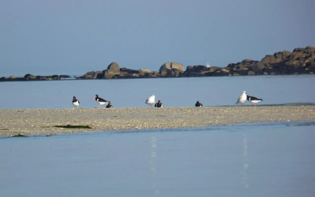 Chambre d'Hôtes de la Grande Greve