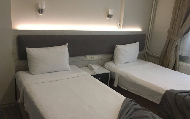 Hotel Temizay