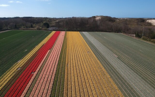 De Zilvermeeuw 2 Person Studio