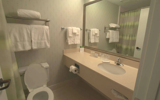 SpringHill Suites Houston Medical Center/NRG Park