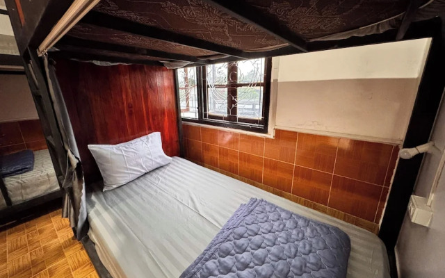 Jungle Backpackers View