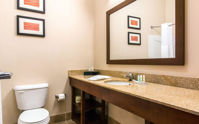 Comfort Inn & Suites North Hays Area