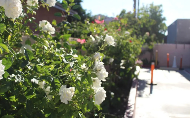 ERTH INN by AGA, Maywood