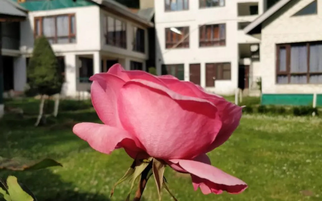 Hotel Alpine K2