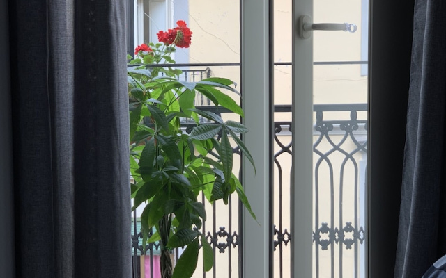 Joy Naples