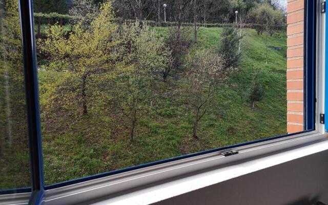 Suite Bilbao Arena