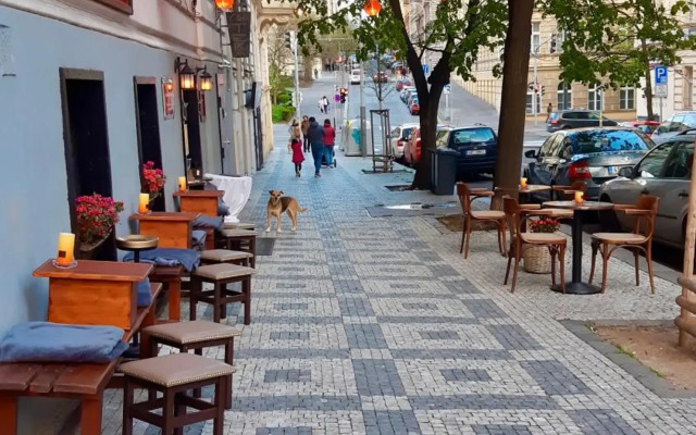 Cozy studio in Vinohrady