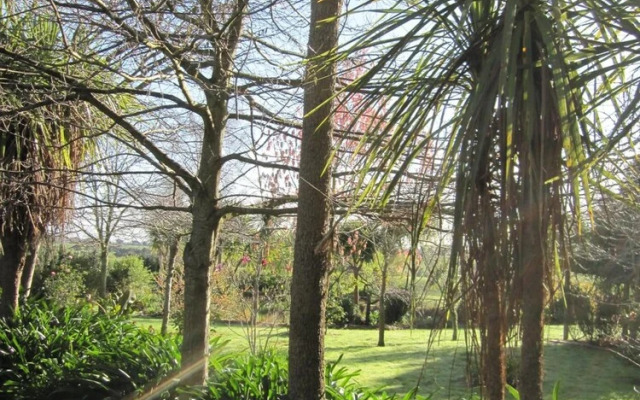 Thyme Out Estate