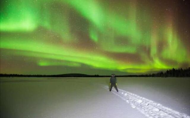 Сияние Севера