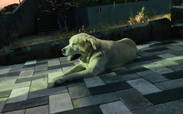 ROYAL MEADOWS - IGATPURI Bungalow B