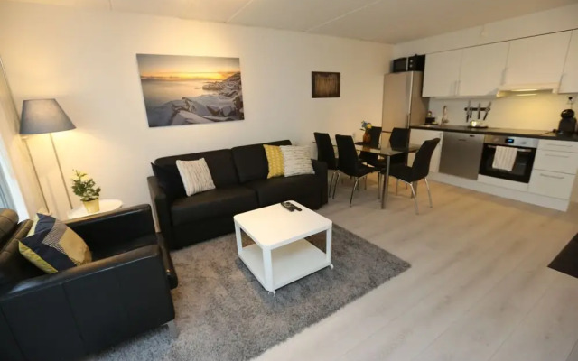 Sentral 3 roms top leilighet med gratis parkering