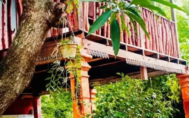 Sigiri Sky Home & Tree House