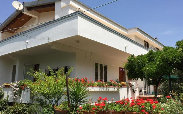 Secret pearl! Amalfi Coast, Pompei & Naples Free parking