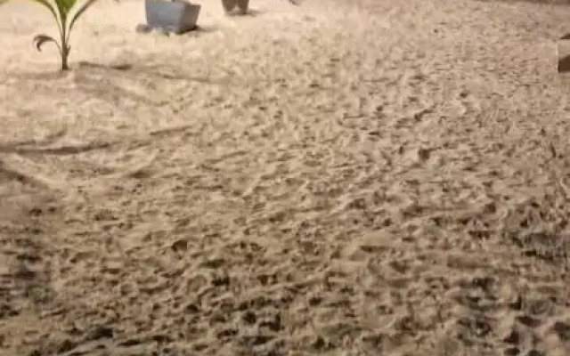 El Regalo El Cuyo