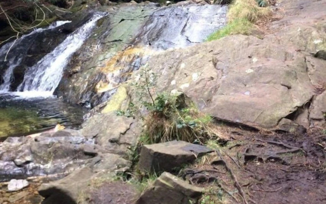 Priest Bridge Cottage