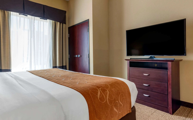 Comfort Suites Airport South