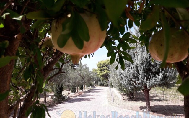 Alekos Beach Houses - Natura Gialla
