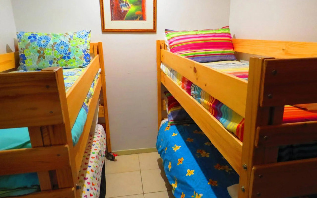 Daintree Rainforest Retreat