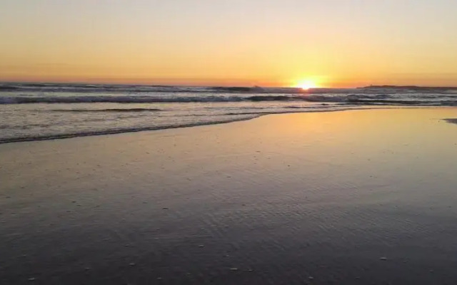 La Morera, El Palmar