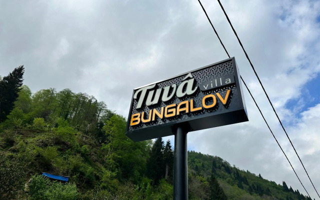 Tuva Villa's