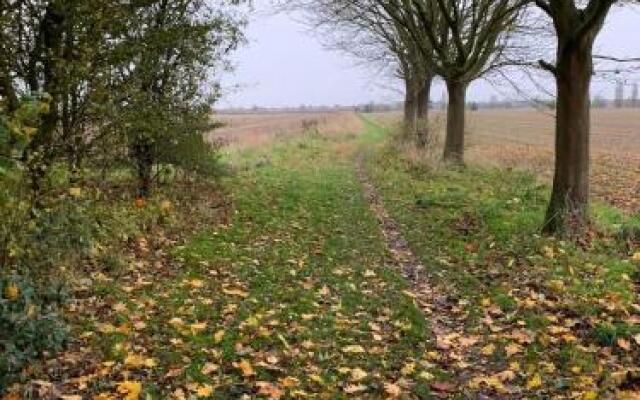 Ye Olde White Harte Hotel