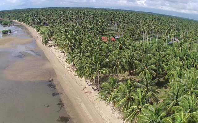 Chilly Beach Resort Palawan