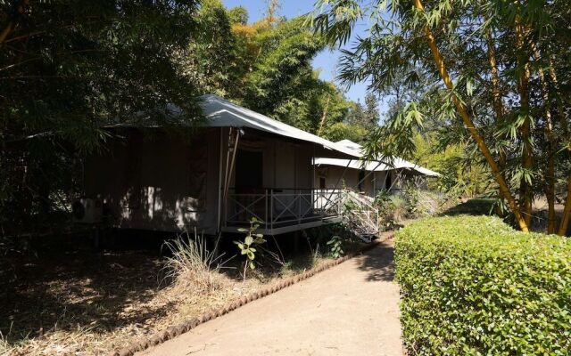 Bagh Tola, Bandhavgarh
