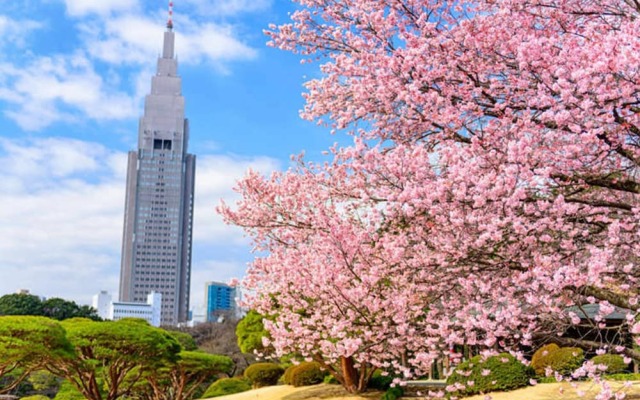 Hotel Blue Empire in Shinjuku