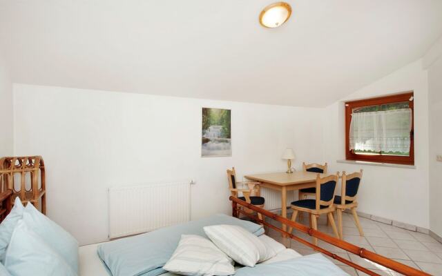Majestic Apartment near Ski Area in Saalbach-Hinterglemm