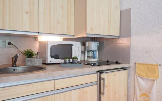 Appartement Saint-Lary-Soulan, 1 pièce, 4 personnes - FR-1-296-329