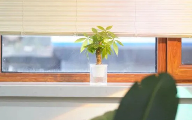 Yamei Hotel (Liaoning Provincial People's Hospital Store)