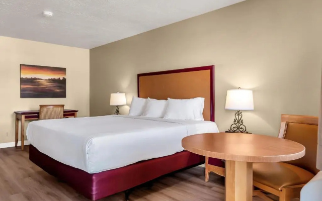 Virgin River Casino and Lodge - Image 5