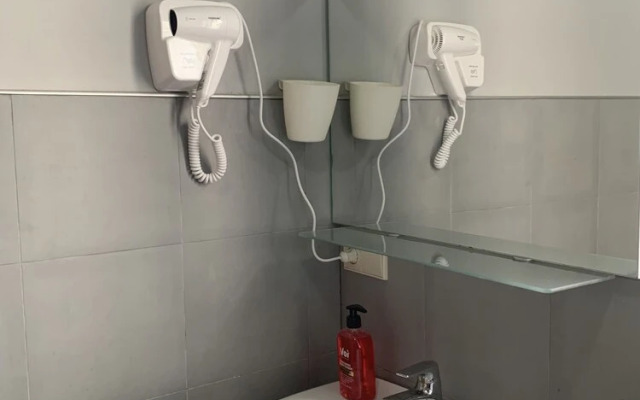 Hotel Lemi