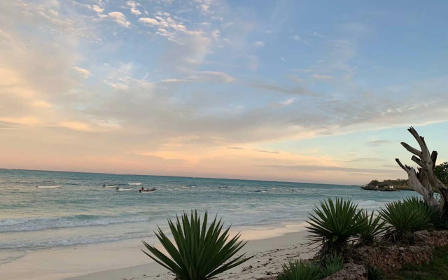 Beach House Michamvi