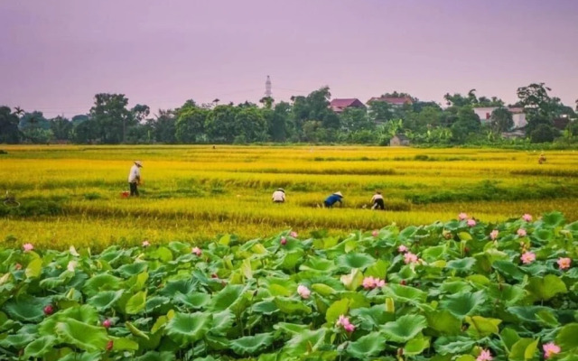 Tam Coc Craft Homestay