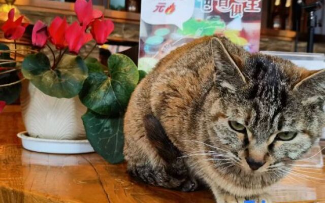 Xiangsheli Foguang Qifu Boutique Inn