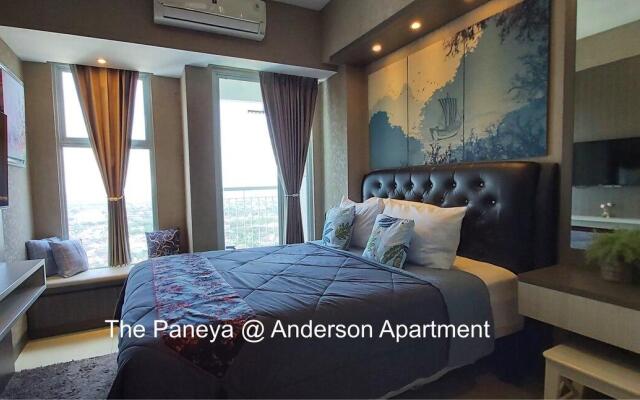 The Paneya @Anderson Apartment