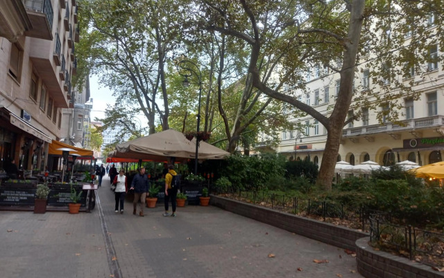 Hi-Bp Liszt Ferenc square Studio apartment