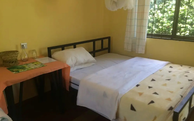 Acacia Tree Apartments