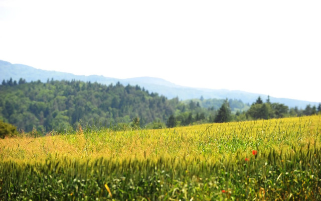 Turisticna Kmetija Seruga