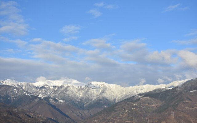 Grand Artvin Hotel