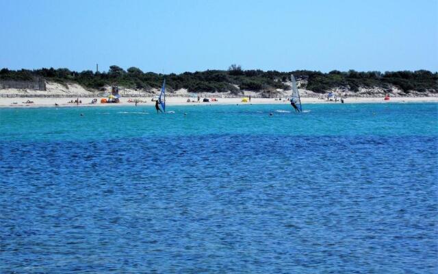 Pineta Spiaggia Grande 2