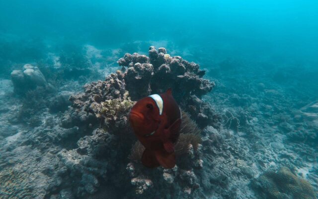 Usukan Cove Lodge