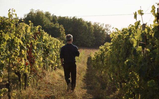 Vigna Rocchetta
